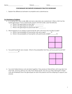 WS incomplete codominant practice