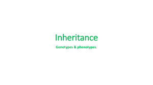 04 Inheritance Student
