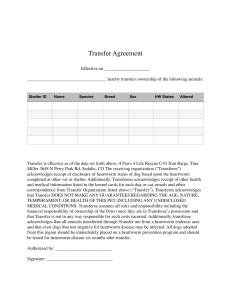 Dog Transfer Agreement 