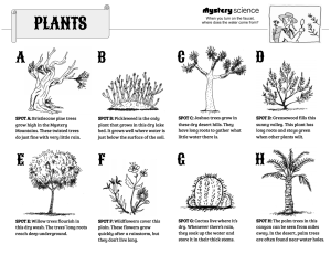 Plant and Soil Handbook