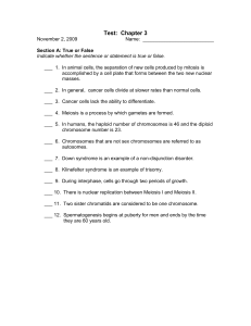 Chapter 3 Biology Test: Mitosis, Meiosis, Genetics