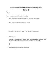 Worksheet about the circulatory system