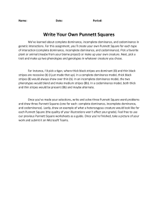 Write Your Own Punnett Square