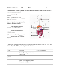 Digestive system quiz