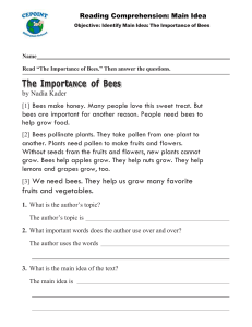 Importance of bees-convertido