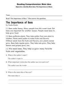 Importance of bees