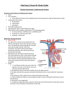 Med Surg 2 Exam  1 Study Guide.docx