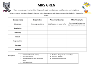 Week 1 MRS GREN Worksheet