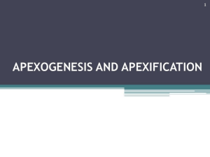 apexification-apexogenesis