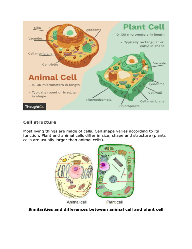 Cell structure