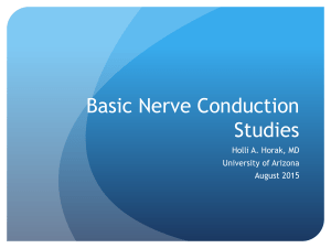 Basic Nerve Conduction Studies Presentation