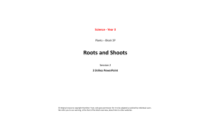 LKS2 Science Y3 Summer1 Roots and Shoots Session2 Resource2 3 Strikes PowerPoint