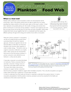 CA Plankton and Foodweb- Teacher