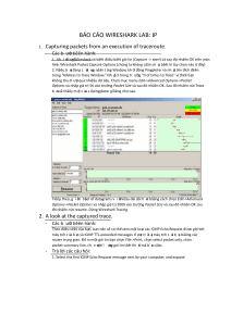 downstudocu.com bao-cao-wireshark-lab-3