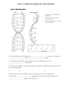 Genetic Basis of Life Study Guide