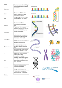 DNA Key-term Matching Activity