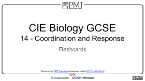 Flashcards - Topic 14 Coordination and Response - CAIE Biology IGCSE