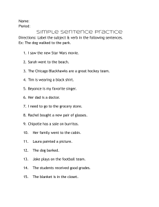 Simple Sentences Worksheet Practice