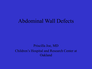 AbdominalWallDefects2010