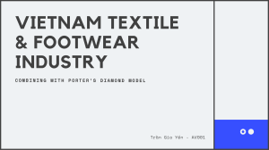 Vietnam Tetile and Footwear Industry