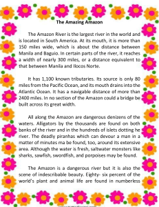 The Amazing Amazon
