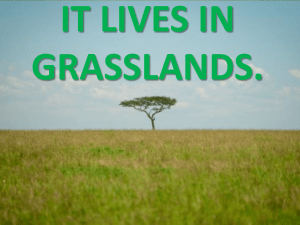 IT LIVES IN GRASSLANDS
