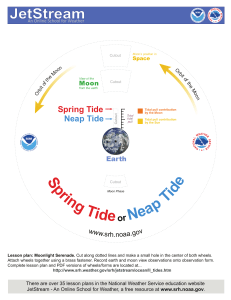 tidewheel white (5)