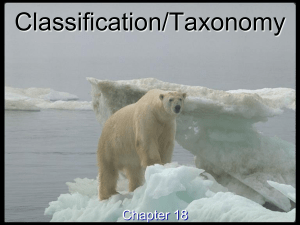 taxonomy and classification update (1)