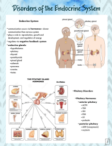 Endocrine Disorders Guide