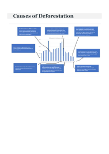 Causes of Deforestation in Brazil Infographic