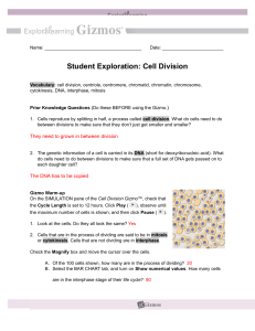 Copy of Cell Division Student Exploration Sheet