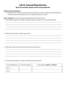 Lab-Asexual-Reproduction-worksheet