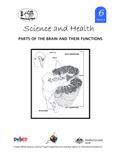 Science 6 DLP 9 - Parts of the Brain and their Functions