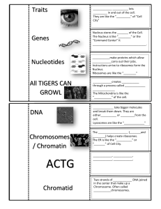 DNACHROMOSOME NOTES