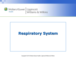 2 Respiratory System(1)