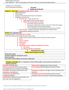 NR 302 Exam 2 Test Blueprint  1 .docx