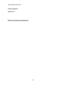 Ecommerce Assignment.docx