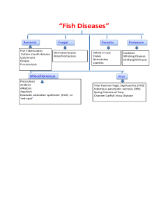 Fish Diseases: Bacterial, Fungal, Viral, Parasitic, Protozoan