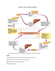 Endocrine control of glucose metabolism c841ab41fa457641247d4ab278d80374