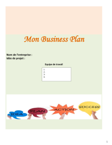 Business Plan Vide