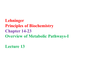 lecture 13 bio201
