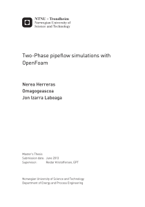 Two-Phase pipeflow simulations with OpenFoam