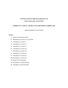 WSH (Amendment) Order 2013