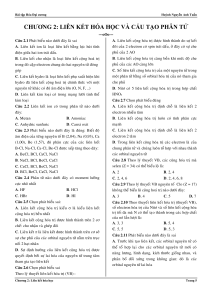 Chemical Bonding & Molecular Structure Exercises