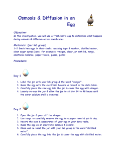 egg osmosis