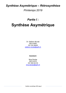Synthese-Asymetric-script-2019