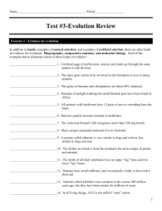 Test #3 Review