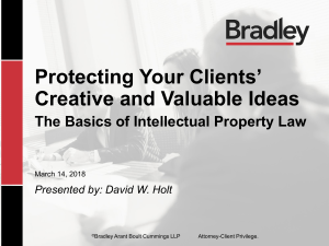 Basics-of-Intellectual-Property-Law-David-W.-Holt-3-18