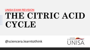 THE CITRIC ACID CYCLE