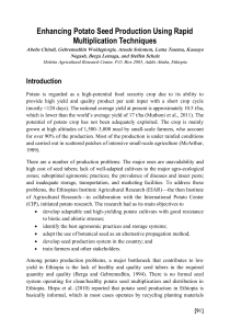 Enhancing Potato Seed Production Using Rapid